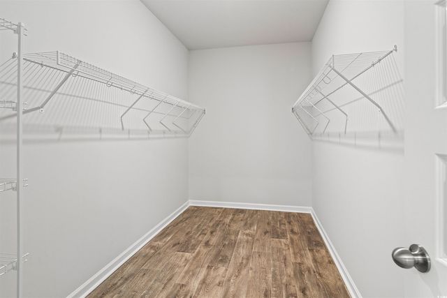 304 Horsetail Ct, Little River, SC 29566