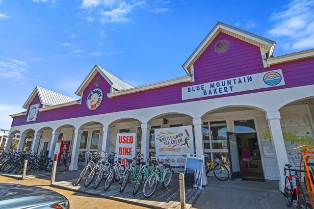 124 Mountain Top Dune Dr, Santa Rosa Beach, FL 32459