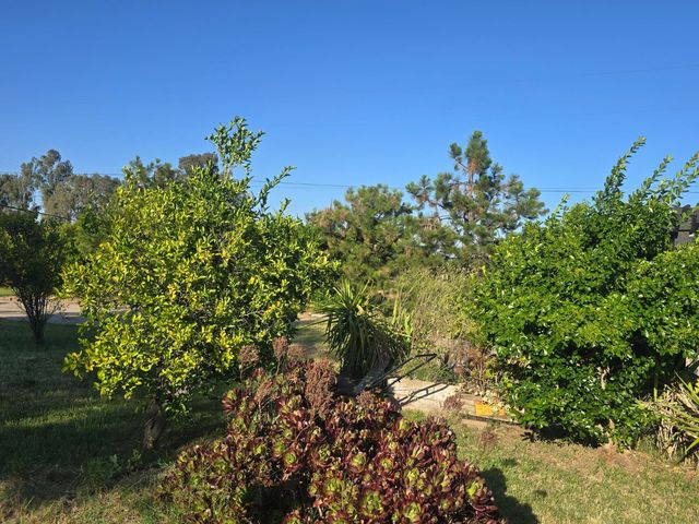 5206 E Jahant Rd, Acampo, CA 95632