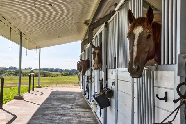 3896 Cr 305, Whitehall, TX 77868