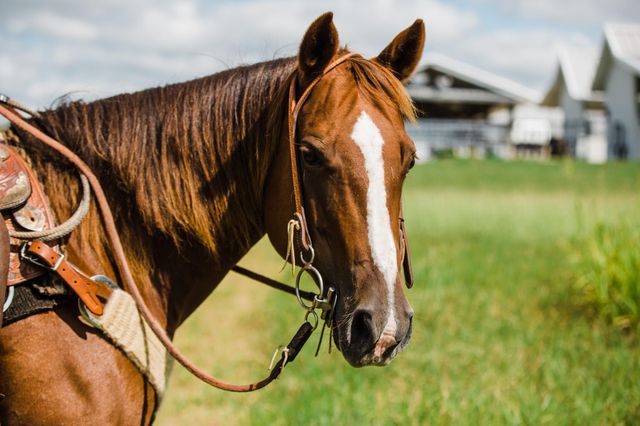 3896 Cr 305, Whitehall, TX 77868