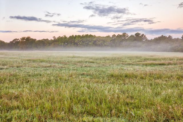 3896 Cr 305, Whitehall, TX 77868