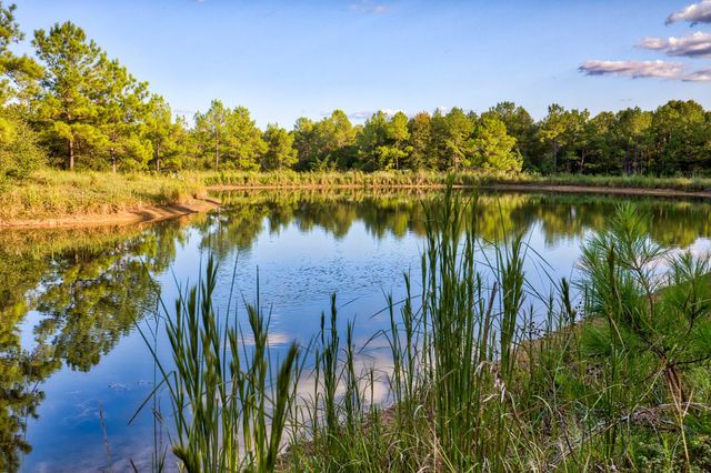 3896 Cr 305, Whitehall, TX 77868