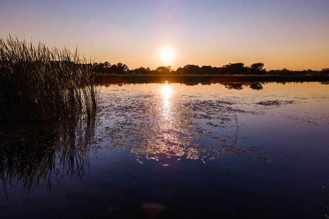 3896 Cr 305, Whitehall, TX 77868