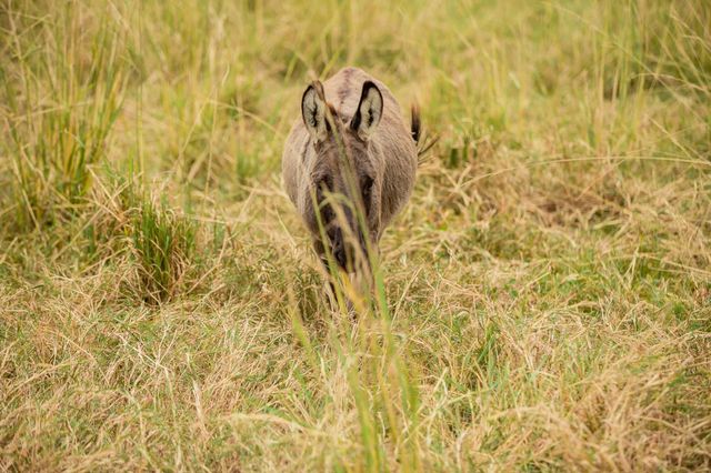 3896 Cr 305, Whitehall, TX 77868