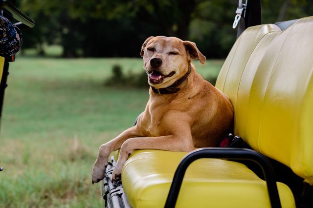 3896 Cr 305, Whitehall, TX 77868