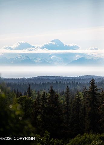67268 Endless View Loop, Homer, AK 99603