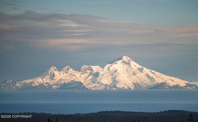 67268 Endless View Loop, Homer, AK 99603