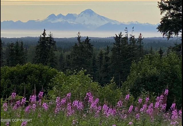 67268 Endless View Loop, Homer, AK 99603