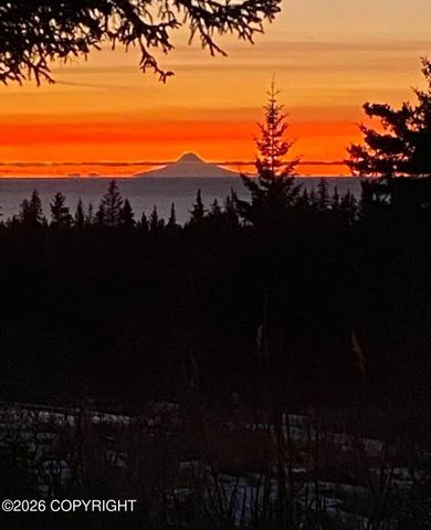 67268 Endless View Loop, Homer, AK 99603