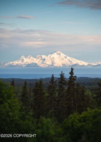 67268 Endless View Loop, Homer, AK 99603