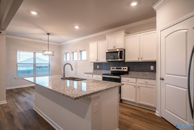 13216 New Foal Lane, Madison, AL 35756