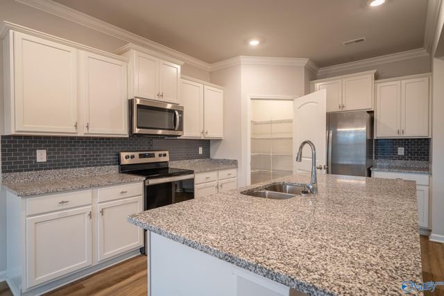 13216 New Foal Lane, Madison, AL 35756