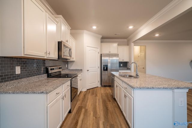 13216 New Foal Lane, Madison, AL 35756