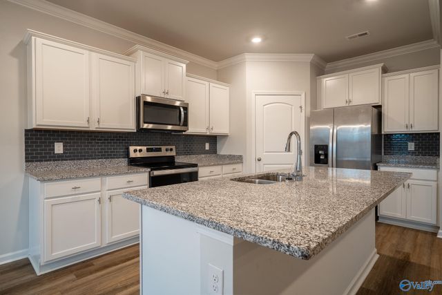 13216 New Foal Lane, Madison, AL 35756