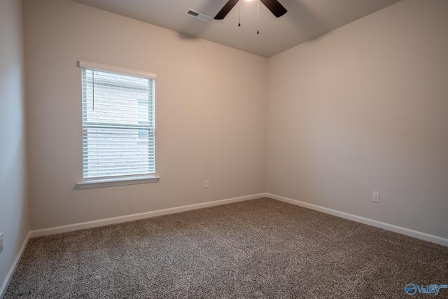 13216 New Foal Lane, Madison, AL 35756