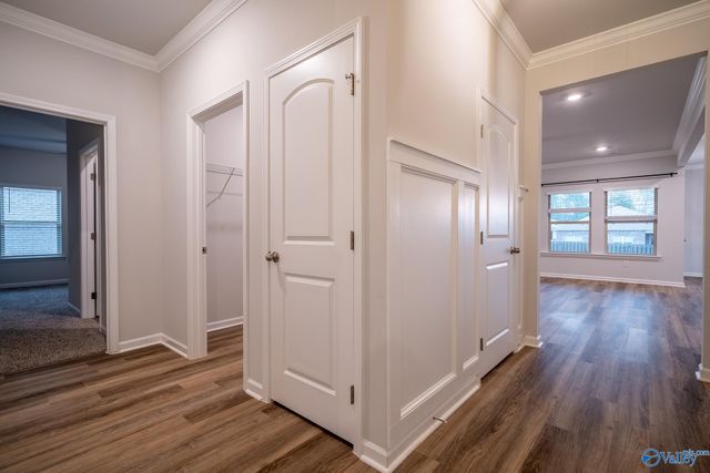 13216 New Foal Lane, Madison, AL 35756