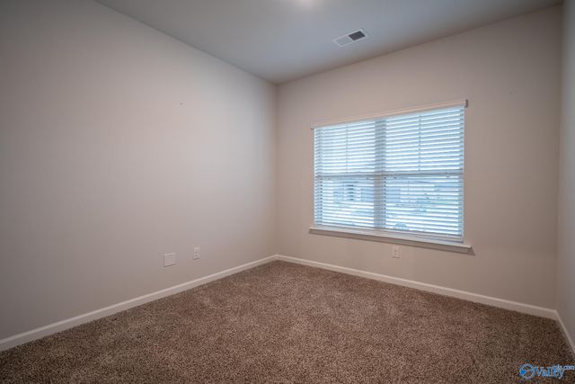 13216 New Foal Lane, Madison, AL 35756