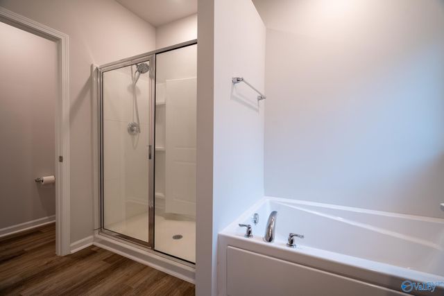 13216 New Foal Lane, Madison, AL 35756