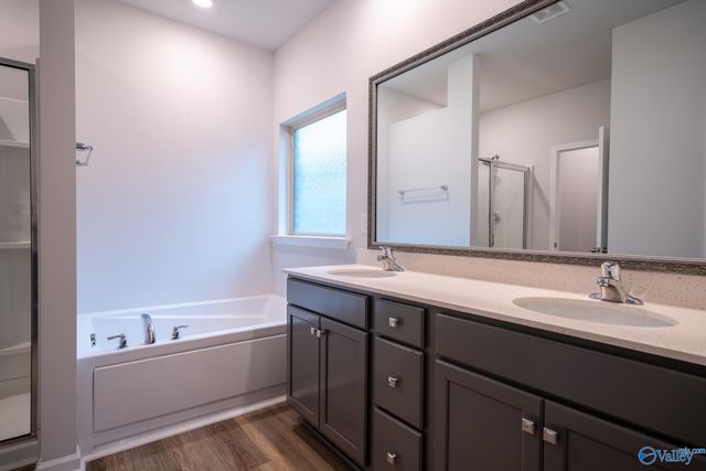 13216 New Foal Lane, Madison, AL 35756