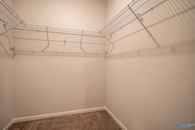 13216 New Foal Lane, Madison, AL 35756