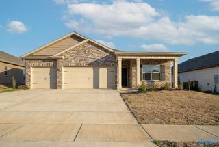 13216 New Foal Lane, Madison, AL 35756