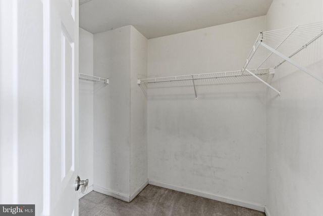 5702 GOLDFINCH CT, Ellicott City, MD 21043