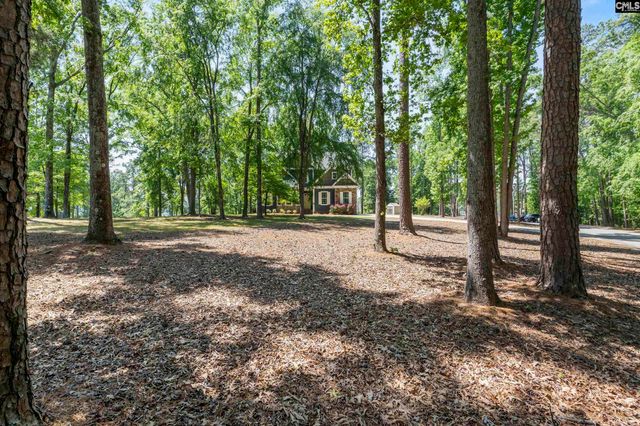 625 Mallard Drive, Chapin, SC 29036