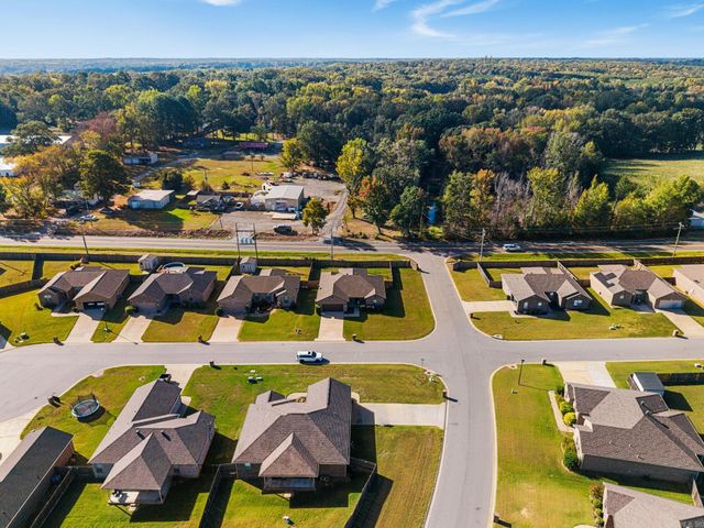 10 Mallard Cove, Austin, AR 72007