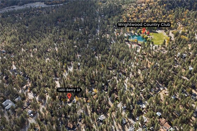 1461 Betty Street, Wrightwood, CA 92397