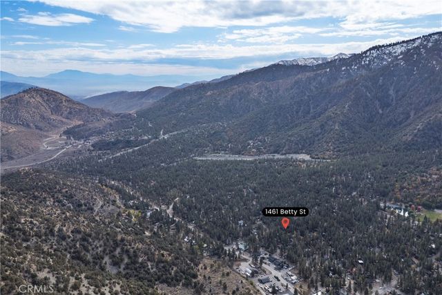 1461 Betty Street, Wrightwood, CA 92397