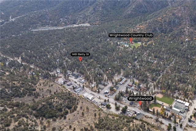 1461 Betty Street, Wrightwood, CA 92397