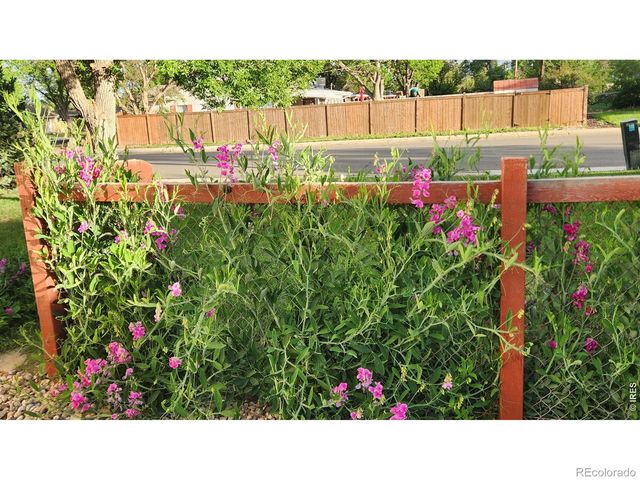 521 W 33rd Street, Loveland, CO 80538