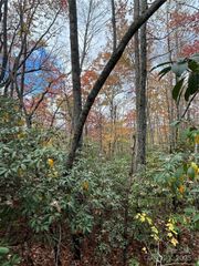 TBD High Peak Road, Etowah, NC 28792