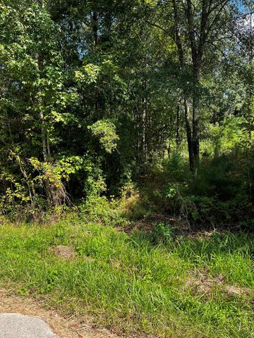 106 Indian Creek Circle, Willis, TX 77378