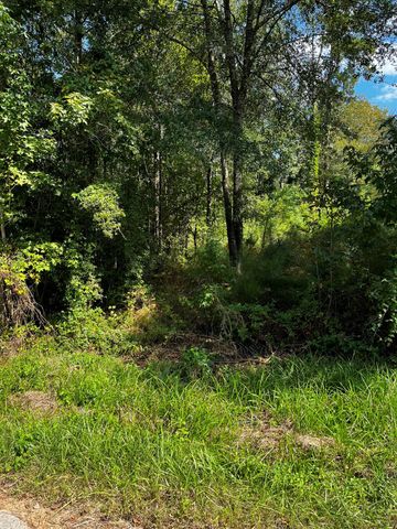 106 Indian Creek Circle, Willis, TX 77378