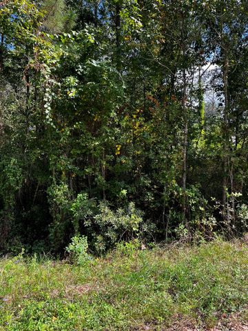 106 Indian Creek Circle, Willis, TX 77378