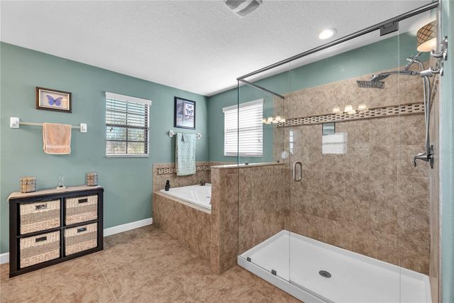 20006 SATIN LEAF AVENUE, Tampa, FL 33647