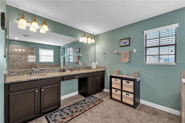 20006 SATIN LEAF AVENUE, Tampa, FL 33647