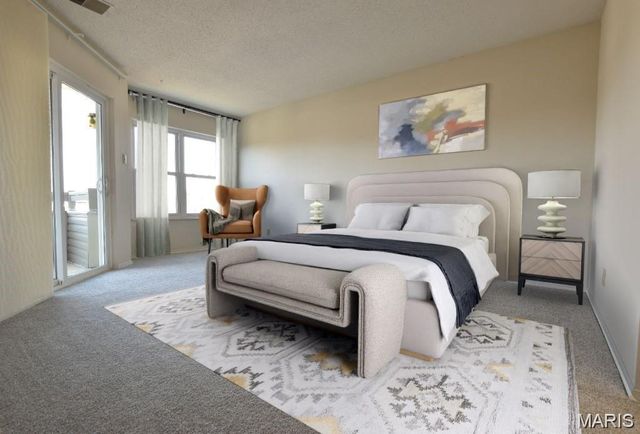 1033 Wilton Royal Drive 206, Creve Coeur, MO 63146