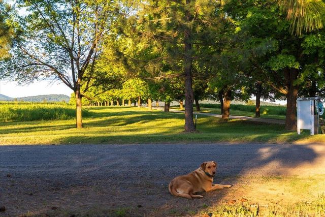 NKA E Day Mt Spokane Rd, Mead, WA 99021