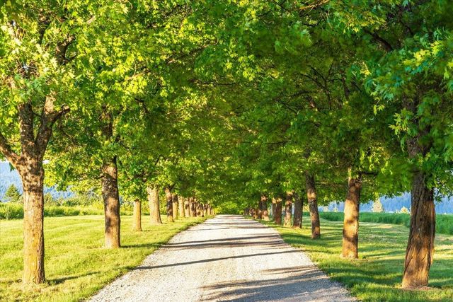 NKA E Day Mt Spokane Rd, Mead, WA 99021