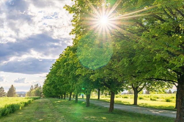 NKA E Day Mt Spokane Rd, Mead, WA 99021