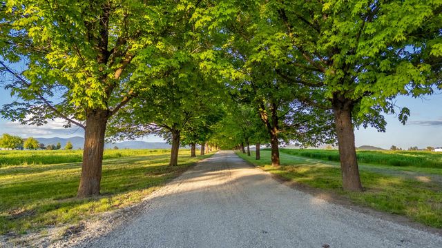 NKA E Day Mt Spokane Rd, Mead, WA 99021