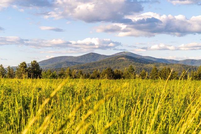 NKA E Day Mt Spokane Rd, Mead, WA 99021