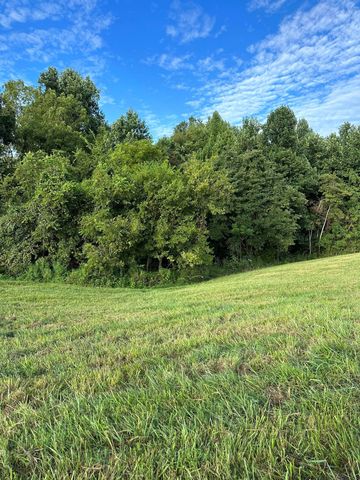 0 Knob Creek Rd, Wartrace, TN 37183