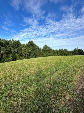 0 Knob Creek Rd, Wartrace, TN 37183