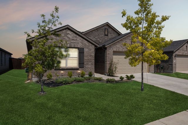 14219 Aberavon Drive, Pilot Point, TX 76258