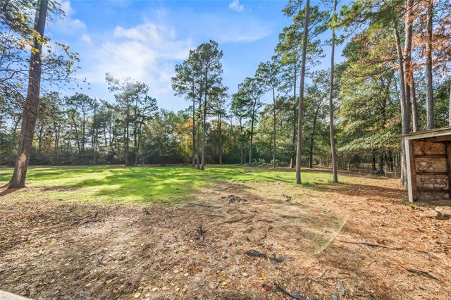 17709 W Terrace Oaks Drive, Waller, TX 77484