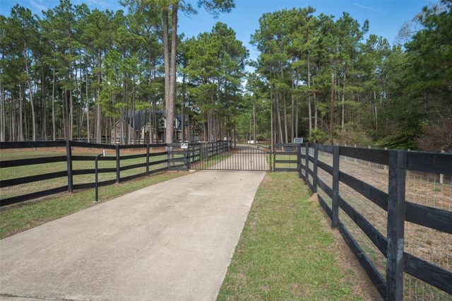 17709 W Terrace Oaks Drive, Waller, TX 77484